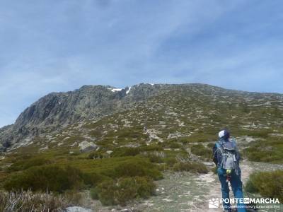 Maliciosa - Sierra de los Porrones [Serie Clásica] rutas alrededor de madrid excursiones programada